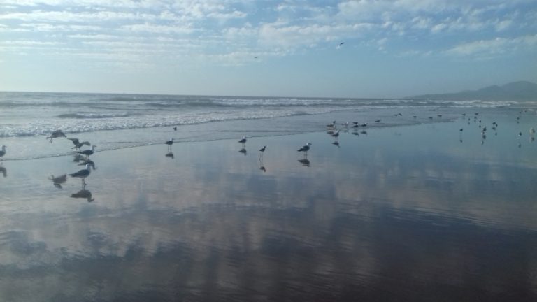 La plage à la Serena