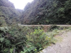 Camino de la muerte
