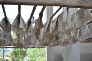 Feuilles mis à sécher