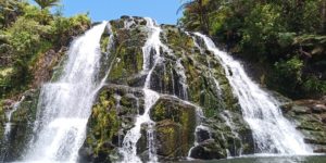 Owharoa Falls