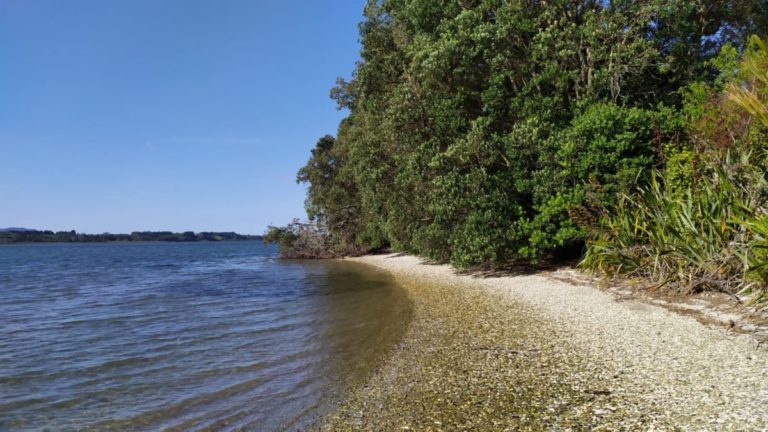 Shelly Beach