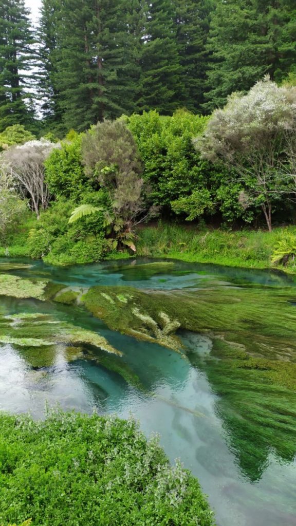 Rivière Te Waiou