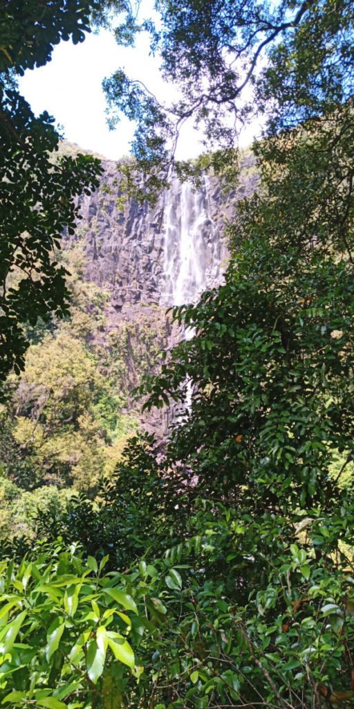 Wairere Falls