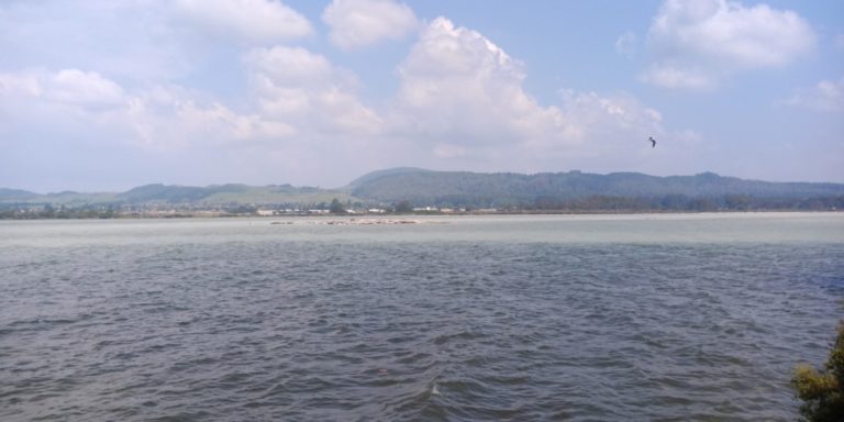 Le lac de Rotorua