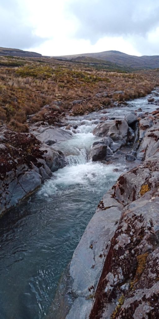 Wairere stream