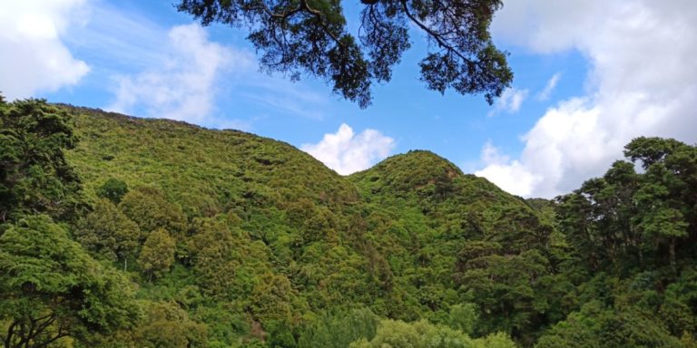 Les collines vues du camping