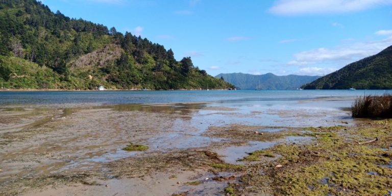 La plage de Whatamango Bay