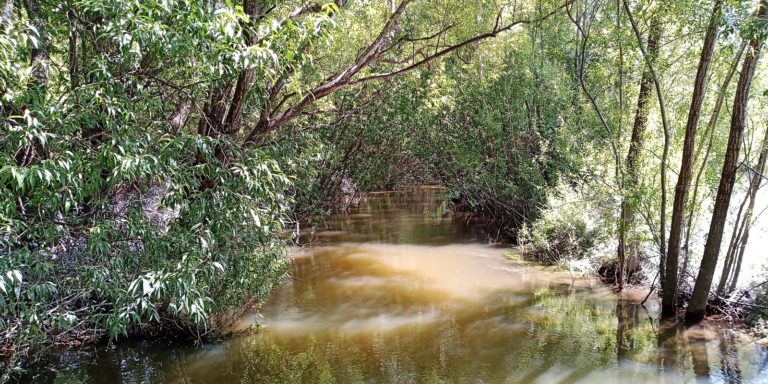 Ballade des lagoons