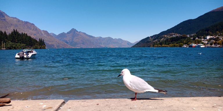 La marina au bord du lac