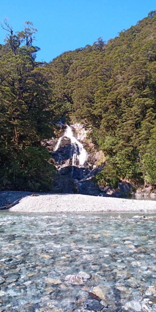 Fantail fall