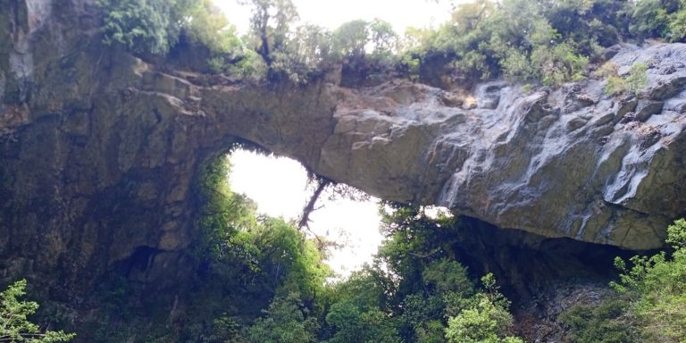 Oparara Arche