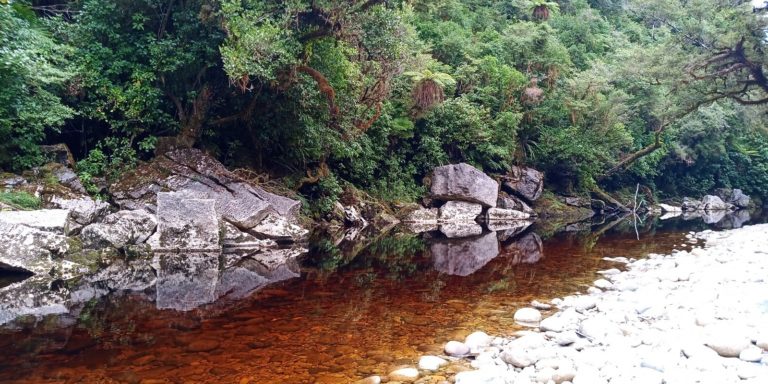 Oparara river
