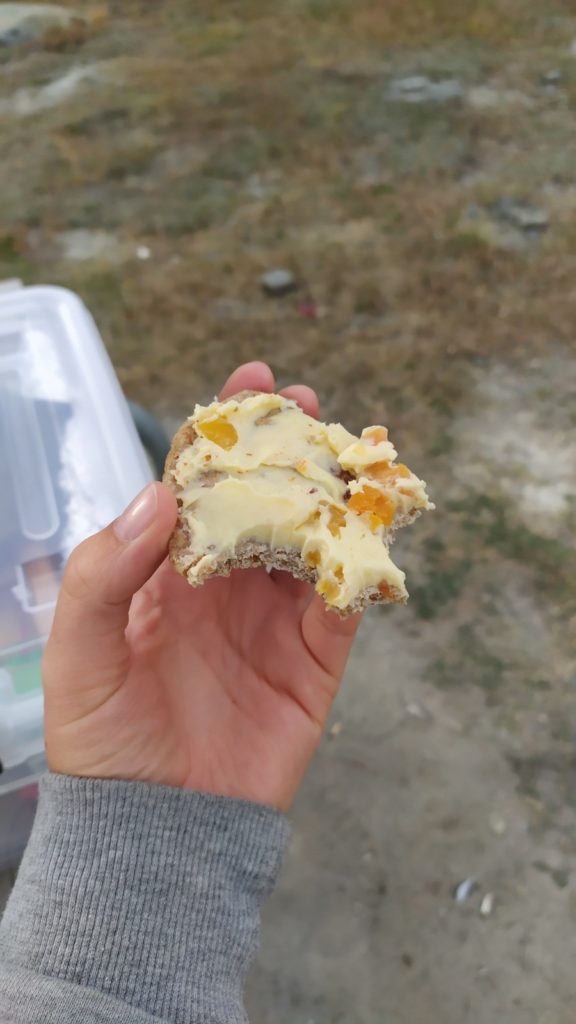 Apricot Cream Cheese - Cream Cheese à l'abricot