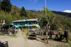 Jour 1.DHUNCHE -> CHANDANBARI