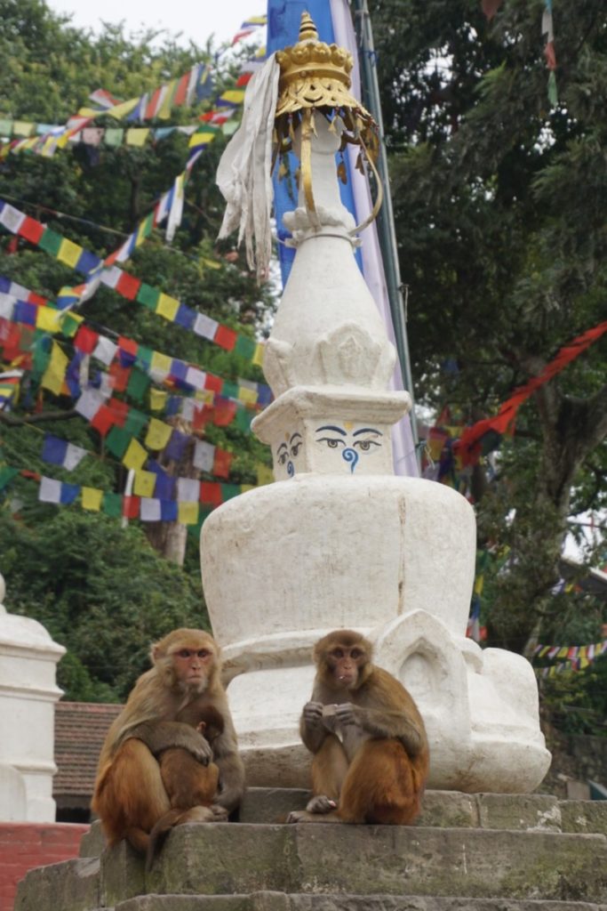 Temple de SWAYAMBHU
