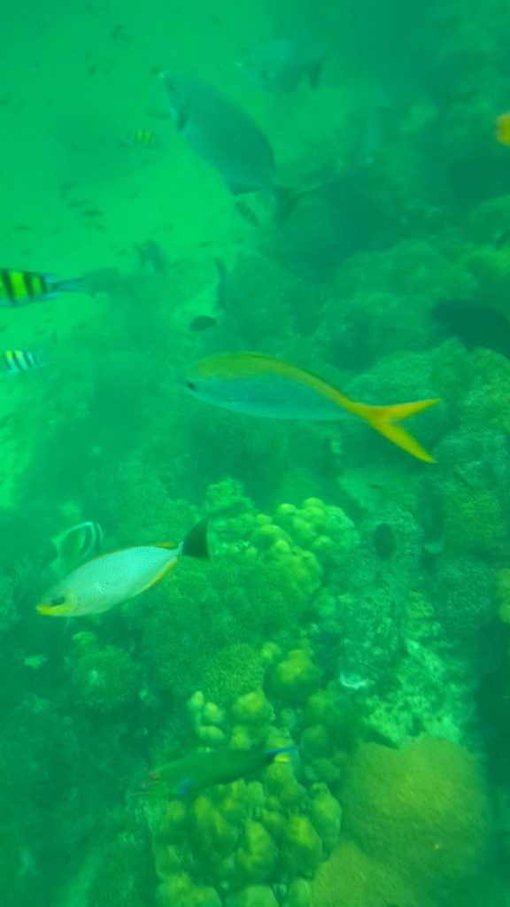 Palau Payar