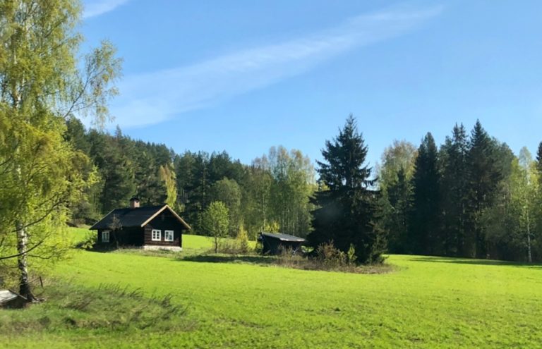 Taken from the train