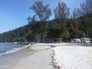 Monkey beach