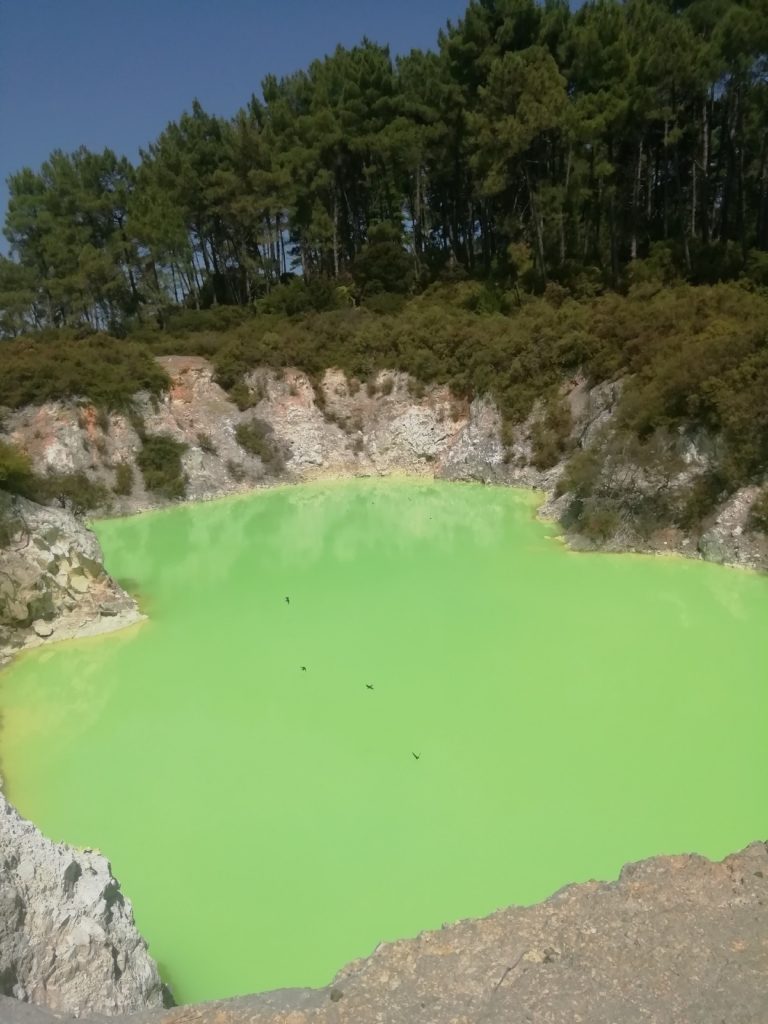 Anga Whanariki