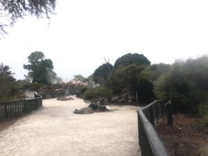 Kuirau Park
