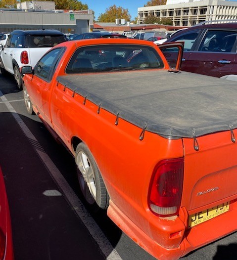 Ute