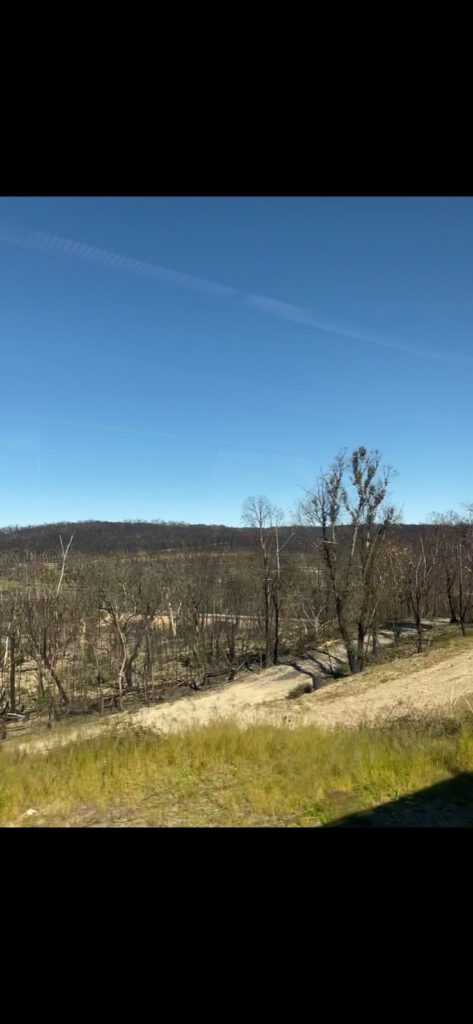 Bushfire Damage