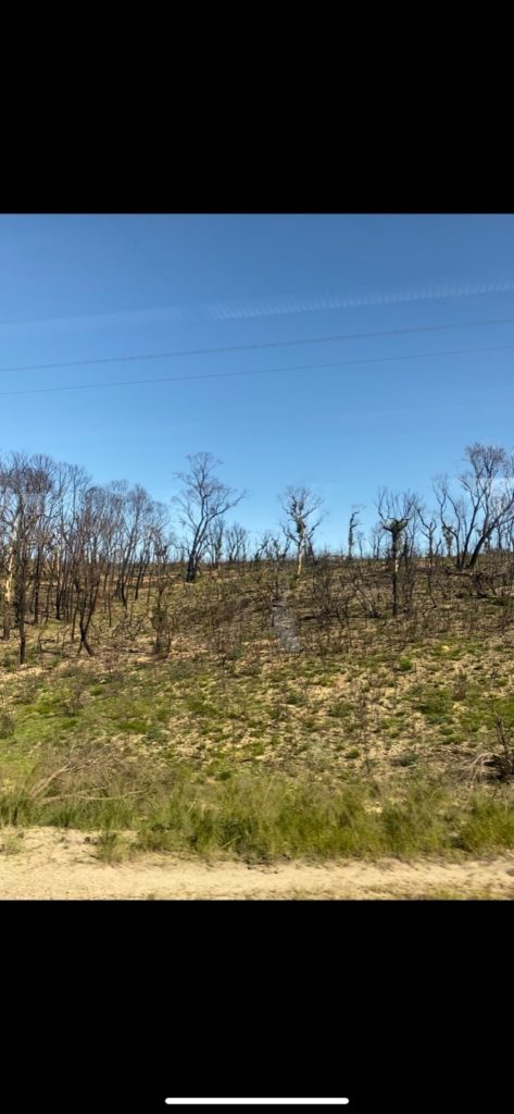 Bushfire Damage