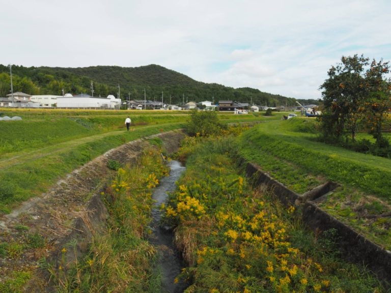 River (kawa ε·)